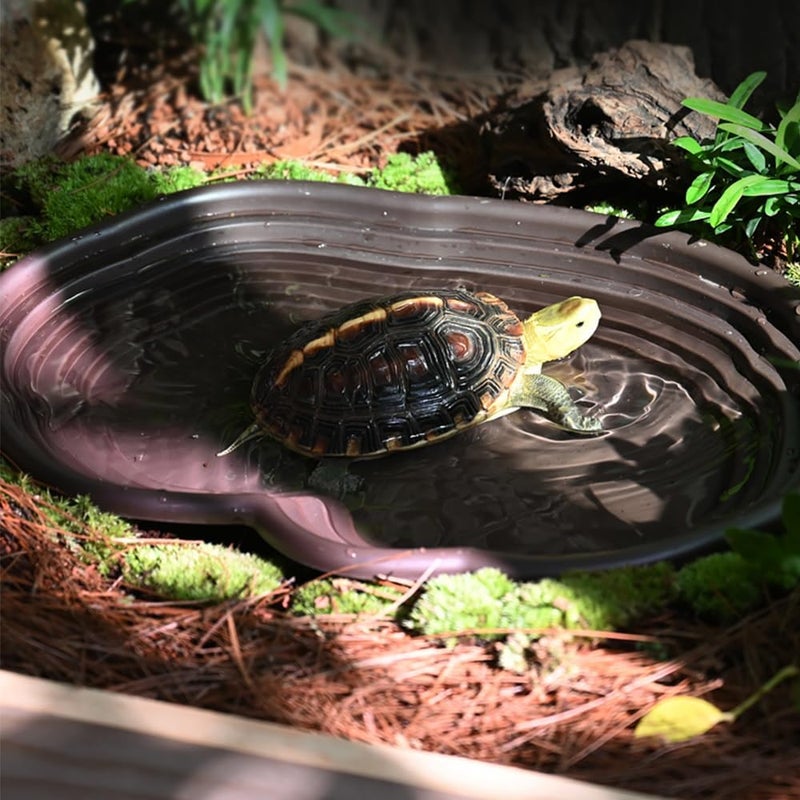 Flushbay Extra Large Reptile Bathing Pool Reptile Feeding Dish Water Bowl with Ramp Aquarium Ornament for Gecko, Snake, Turtle, Bearded Dragon, Lizard Bath(Black) - Image 5